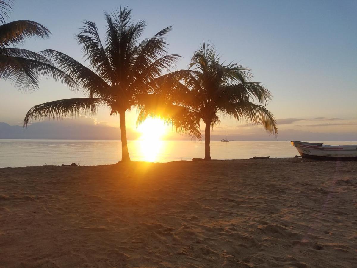 Pal'S On The Beach - Dangriga, Belize Exterior photo