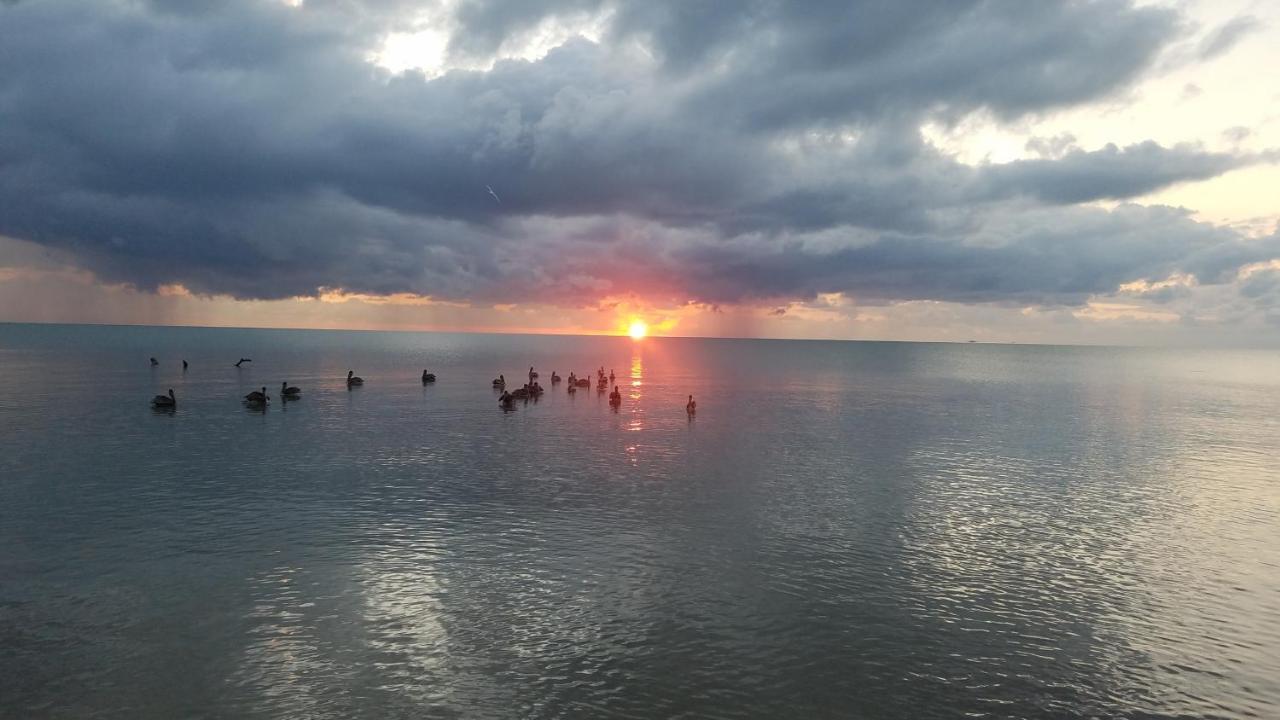 Pal'S On The Beach - Dangriga, Belize Exterior photo